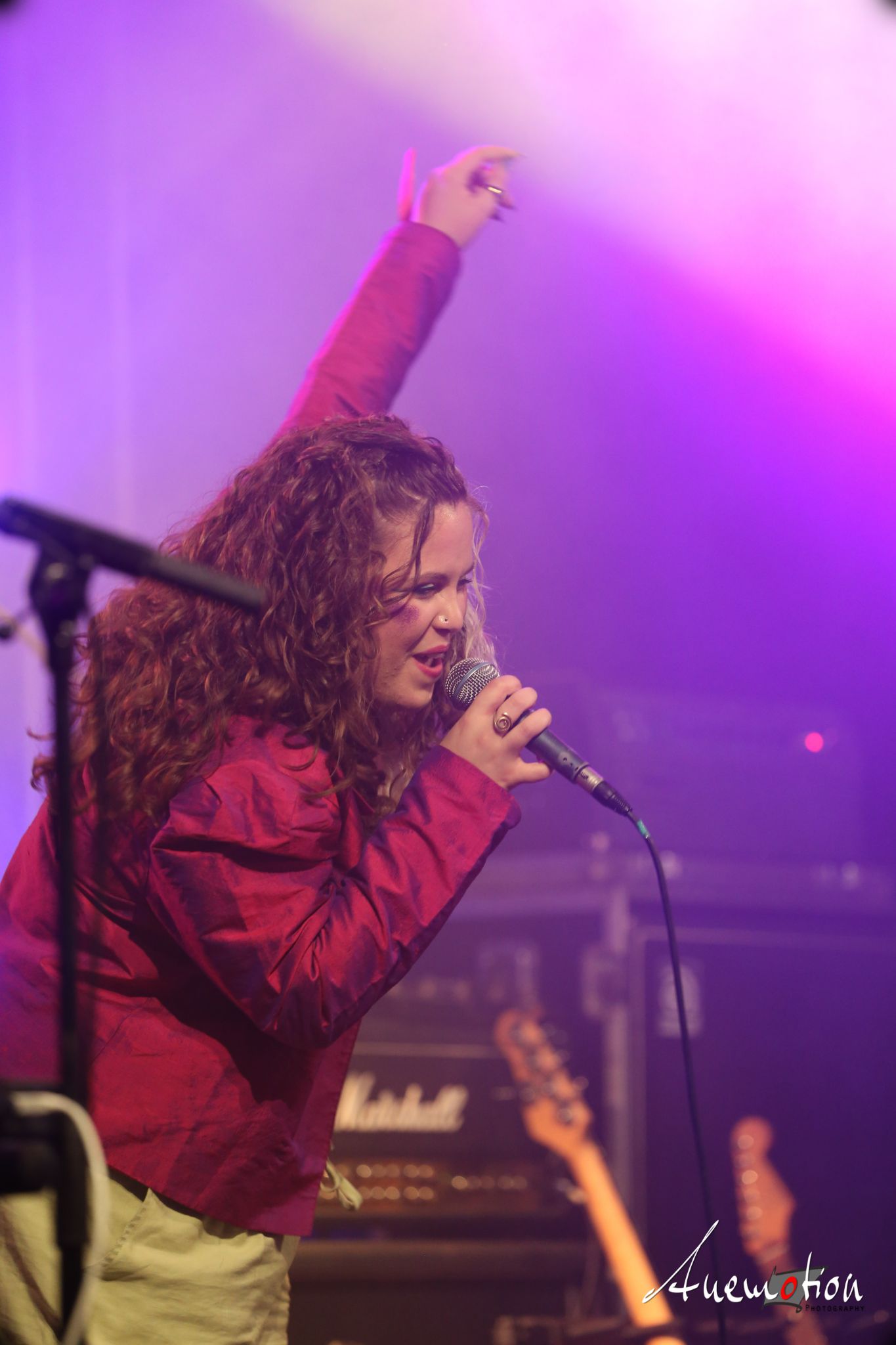 ElephantsFalling (53)